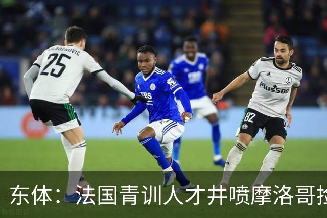 东体：法国青训人才井喷摩洛哥捡便宜，争取布阿迪时展现极大诚意