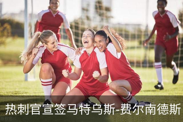 热刺官宣签马特乌斯-费尔南德斯 转会费8500万镑破纪录